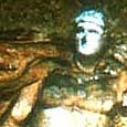 Tauroctonie